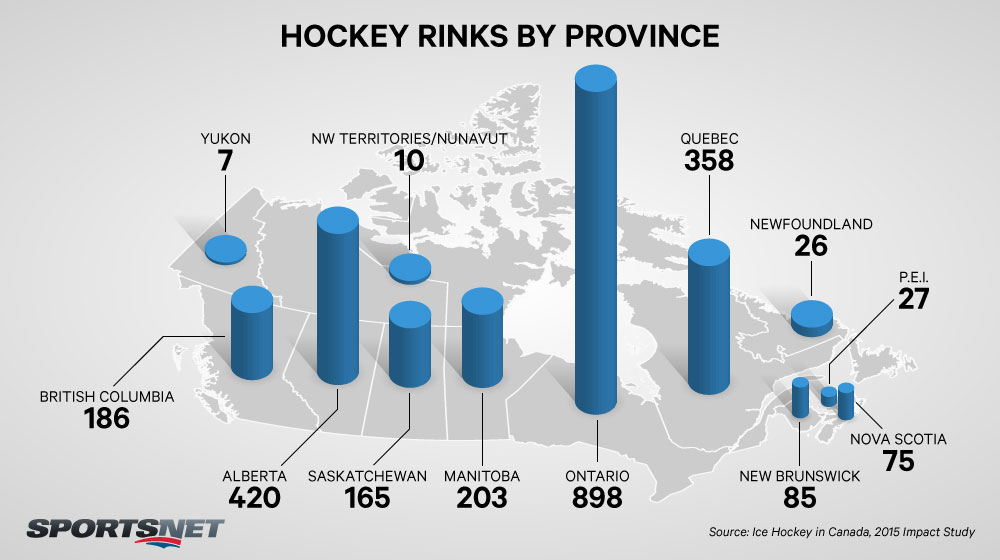 rinks_study